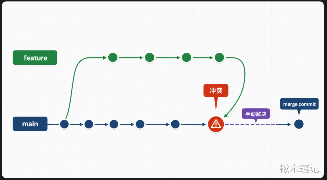 查看分支结构
